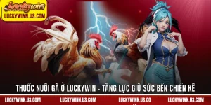 Thuốc nuôi gà